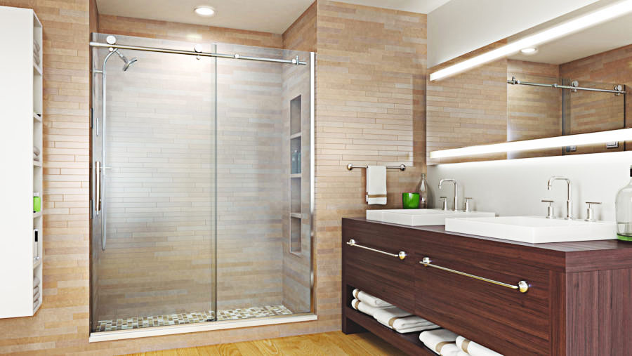 Shower Door or Shower Curtain