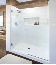 Frameless Shower Enclosure Door and Panel
